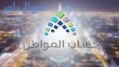 برنامج حساب المواطن