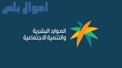 الضمان الاجتماعي المطور