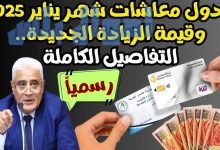 زيادة معاشات شهر يناير