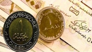 سعر الدرهم الإماراتي أمام الجنيه المصري