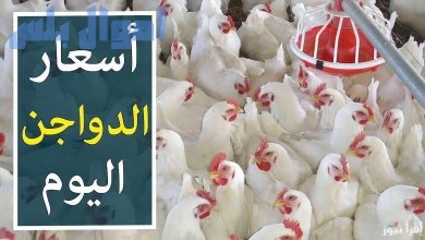 سعر الدواجن في البورصة