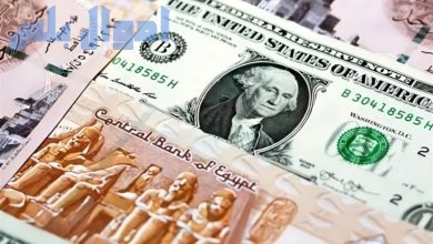 سعر الدولار