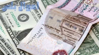 سعر الدولار أمام الجنيه المصري