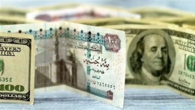 سعر الدولار أمام الجنيه المصري