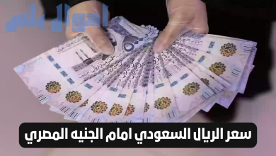 سعر الريال السعودي مقابل الجنية