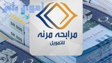 شركة مرنة السعودية