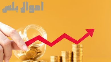 مؤشر أسعار المستهلكين