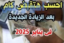 معاشات شهر يناير 2025