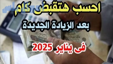 معاشات شهر يناير 2025