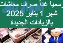 معاشات يناير 2025