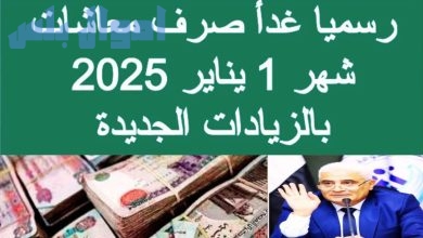 معاشات يناير 2025