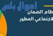 دعم الضمان الاجتماعي المطور