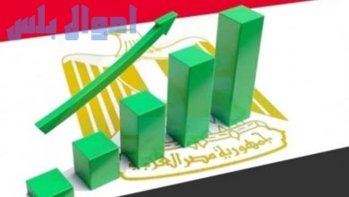 استقرارًا اقتصاديًا في مصر بـ 2025