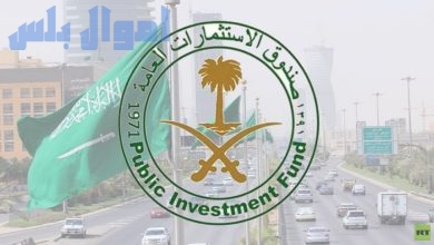 الاستثمارات العامة