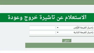 الاستعلام عن صلاحية تأشيرة الخروج والعودة