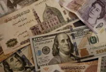 تخطيط مصر لمواجهة مشكلة تحرير سعر الصرف