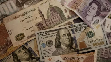 تخطيط مصر لمواجهة مشكلة تحرير سعر الصرف