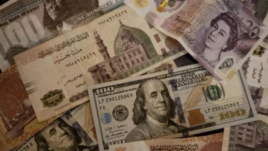 سعر الدولار مستقر