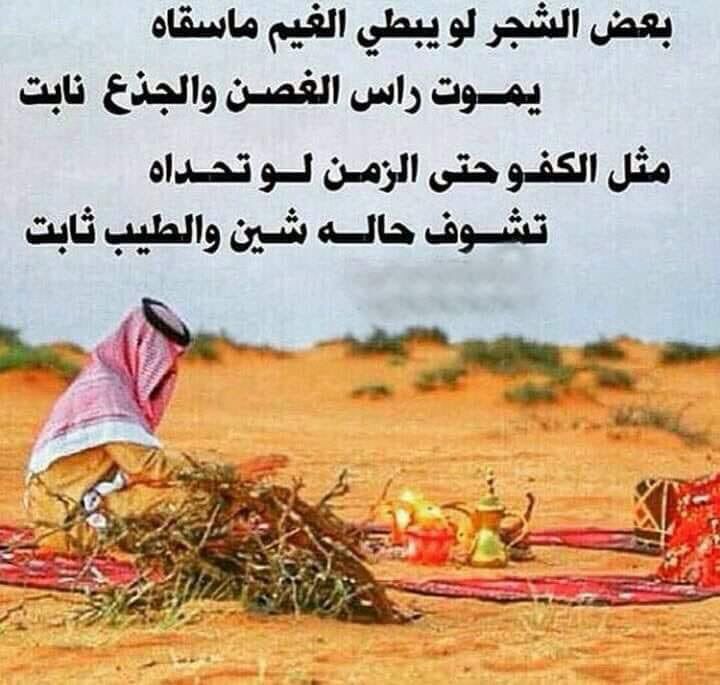 شعر عن الصديق