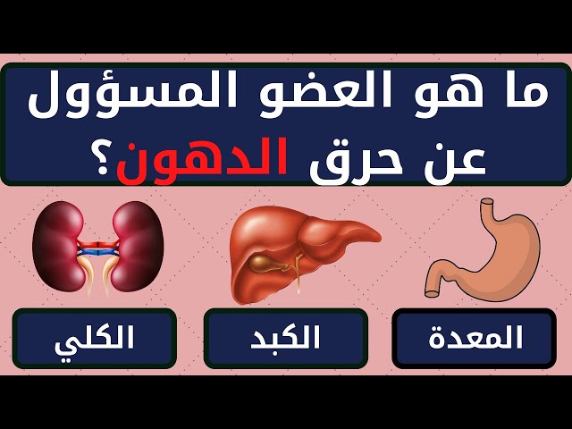 أسئلة عن جسم الإنسان