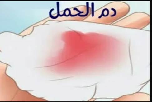 كلام عن حنان الأم