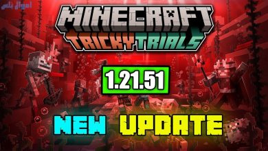 Minecraft 1.21.51
