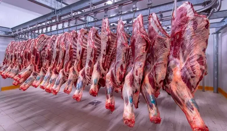 أسعار اللحوم الحمراء