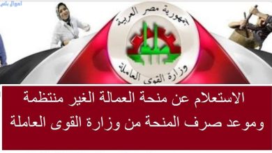 الاستعلام عن منحة العمالة غير المنتظمة
