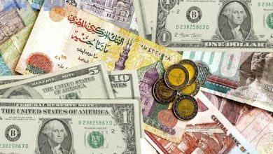 بعد تجاوز الدولار 51 جنيهًا مصريًا