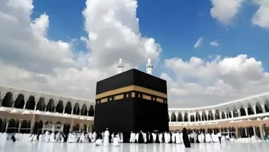 تقديم خدمات الحجاج 2025