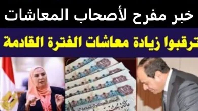 حقيقة خبر زيادة المعاشات
