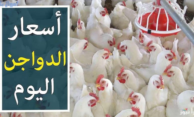 سعر الدواجن في البورصة