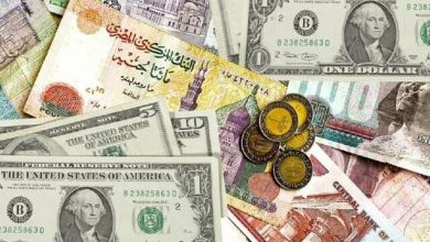 سعر الدولار