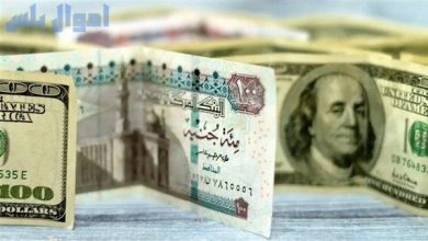 سعر الدولار أمام الجنيه المصري