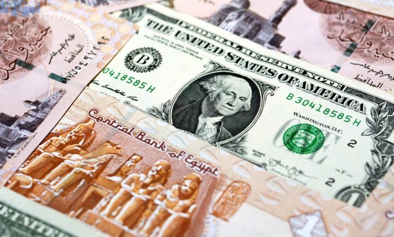 سعر الدولار اليوم