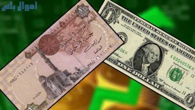 سعر الدولار مقابل الجنيه المصري
