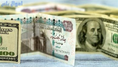 سعر الدولار مقابل الجنيه المصري اليوم