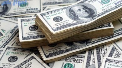 سعر الدولار مقابل الجنيه اليوم