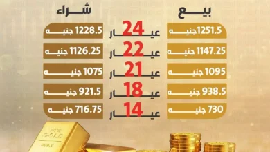 سعر الذهب عيار 24