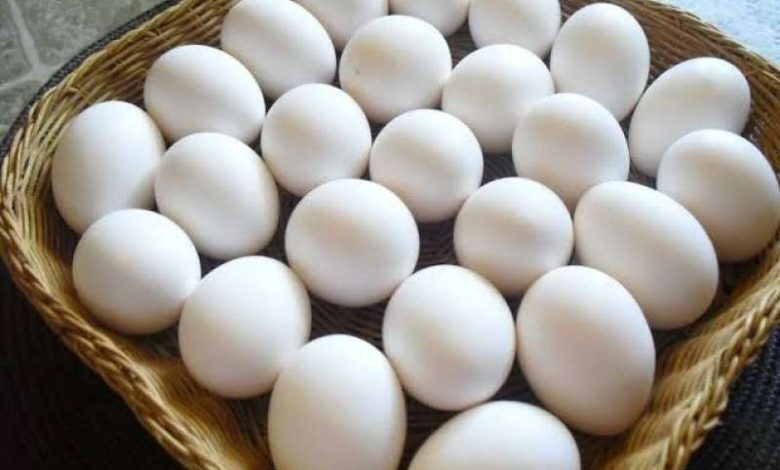 سعر كرتونة البيض اليوم
