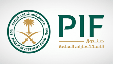 صندوق الاستثمارات