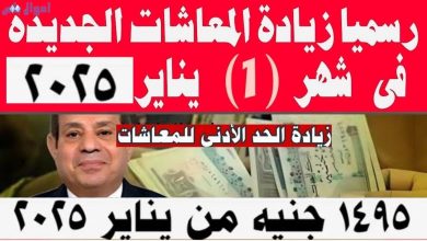 معاشات يناير 2025
