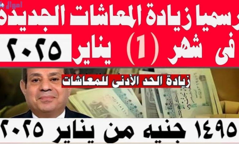 معاشات يناير 2025