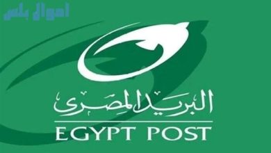موعد التقديم على وظائف البريد المصري