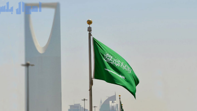 نسبة الأرباح التشغيلية لقطاع الأعمال