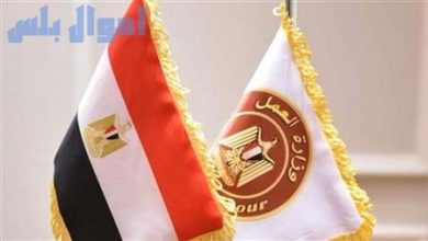 وزارة العمل المصرية