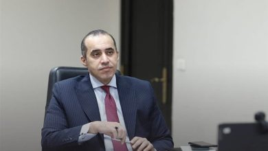 وزير مصري
