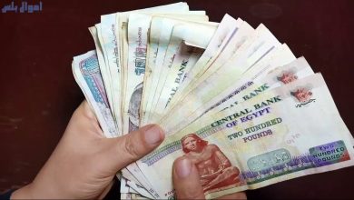 أخبار عن زيادة المعاشات