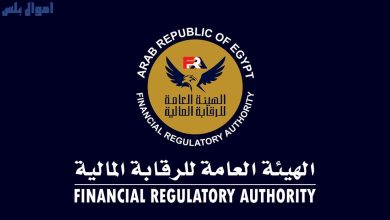الرقابة المالية المصرية