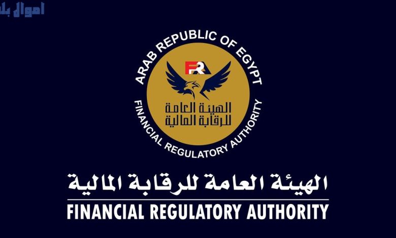 الرقابة المالية المصرية